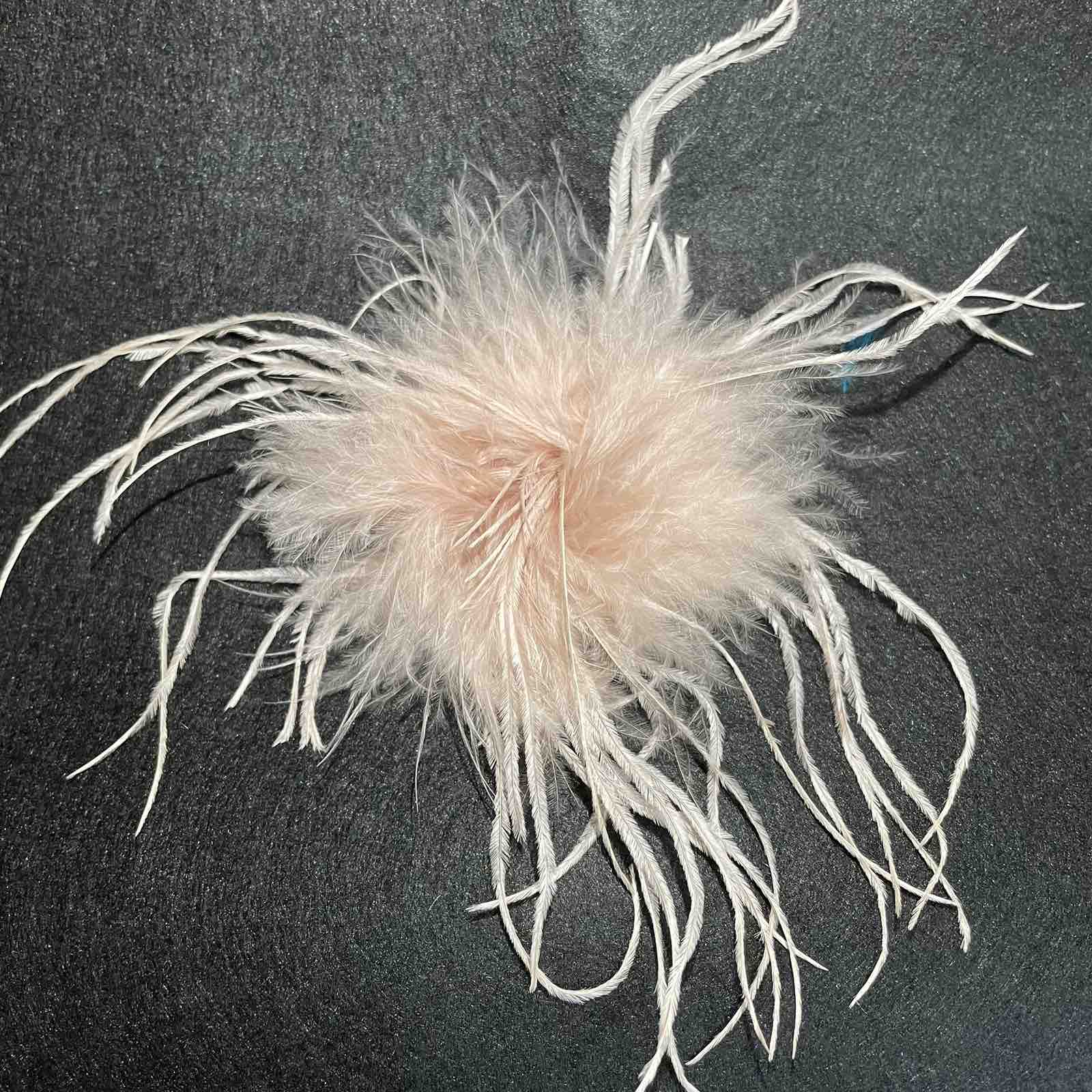 Брошь из перьев, 10-15см, бежевый., шт.. Перья