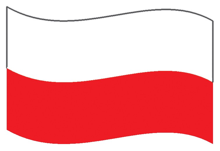 Термоаппликация флаг Польши, 6*4см, полноцвет/термопринтер/, шт. Термоаппликация термопринтер