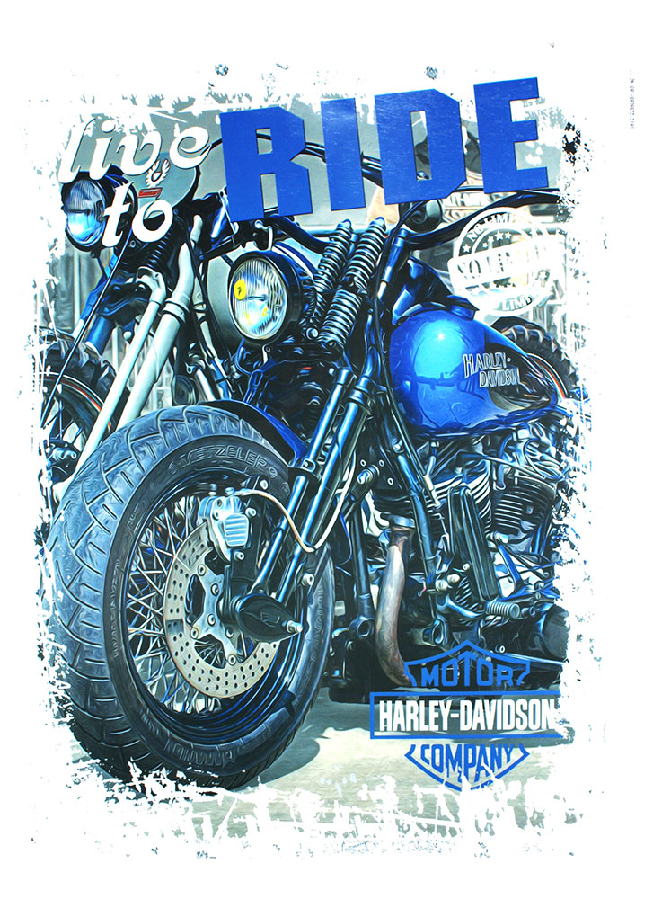 Термоаппликация Harley Davidson 29,3*21,6см, шт. Термопереводки Ассорти