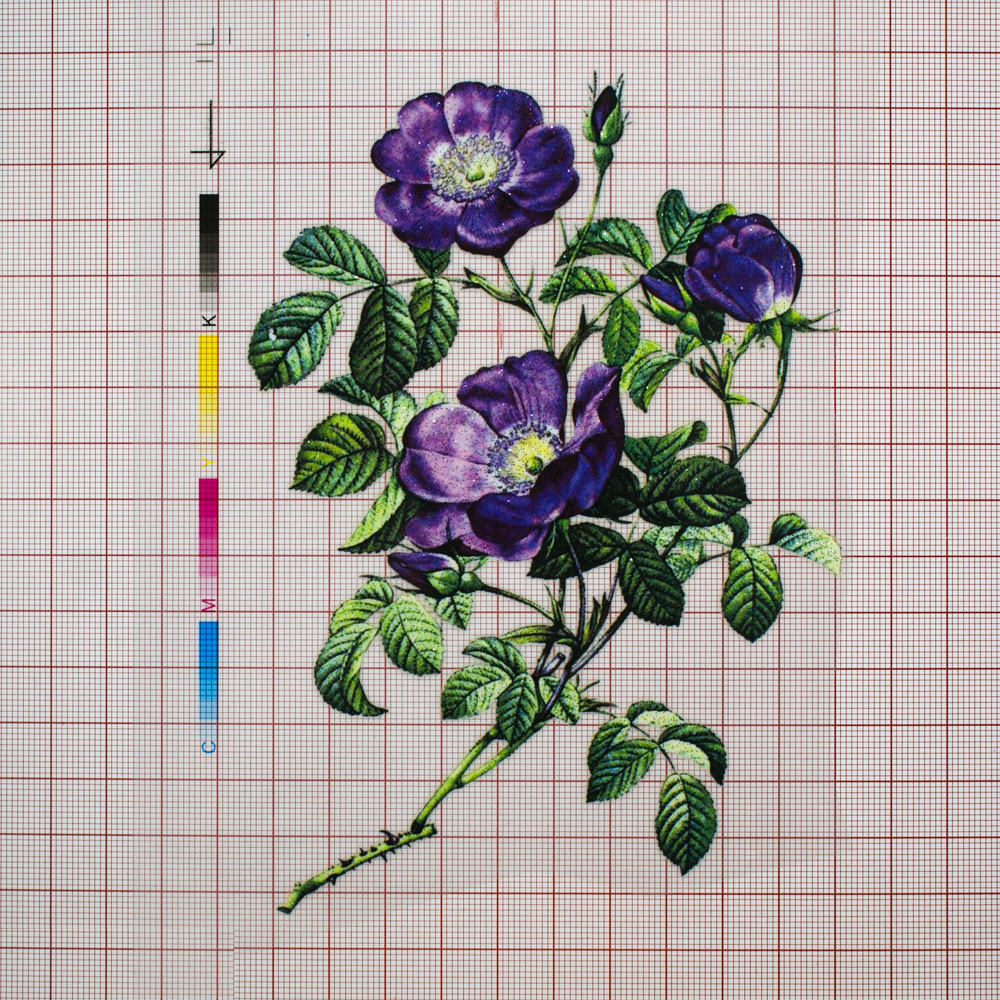 Термоаппликация Фиолетовые цветы 10,72*15,04см, шт. Термоаппликации Накатанный рисунок