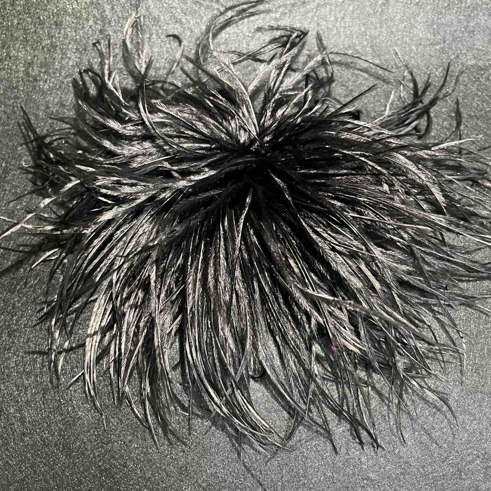 Брошь из перьев, 13-16см, черн., шт.. Перья