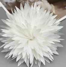 Аппликация Цветок, белый, шт. Аппликации Пришивные Цветы Банты