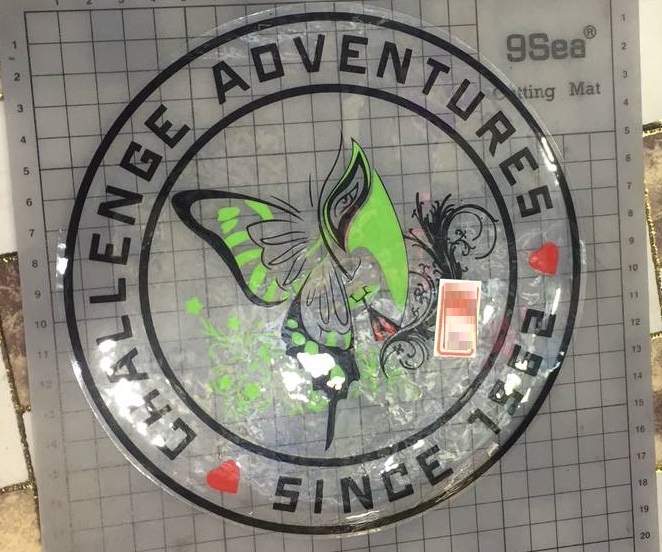 Аппликация клеенка пришивная прозрачная CHALLENGE ADVENTURES, Ø 7см салатовая бабочка, белый фон, черный текст, красные сердца, шт. Аппликации Пришивные Резина, Силикон