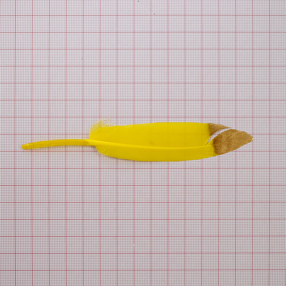 Перо 12*2,1 желтый с золотом, шт. Перья