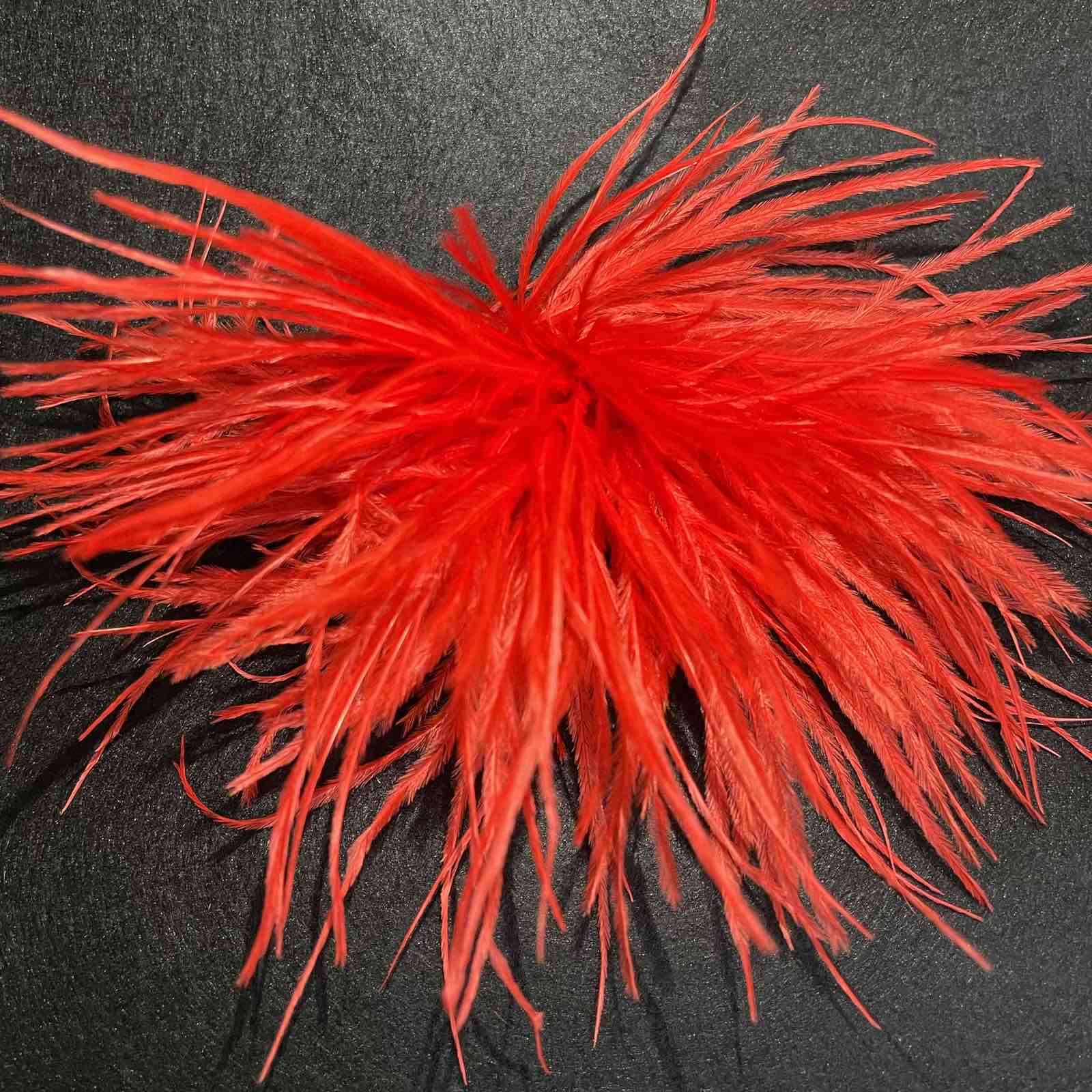 Брошь из перьев, 13-16см, красный., шт.. Перья