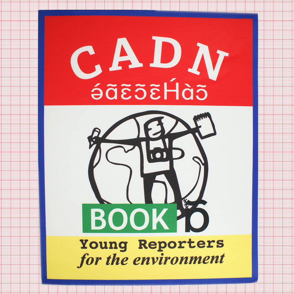 Аппликация пришивная CADN BOOK 29,5*23,5см. белый и черный текст, красный фон, синяя рамка, желтый фон, черный рисунок, зеленый фон текста, шт. Аппликации Пришивные Постер