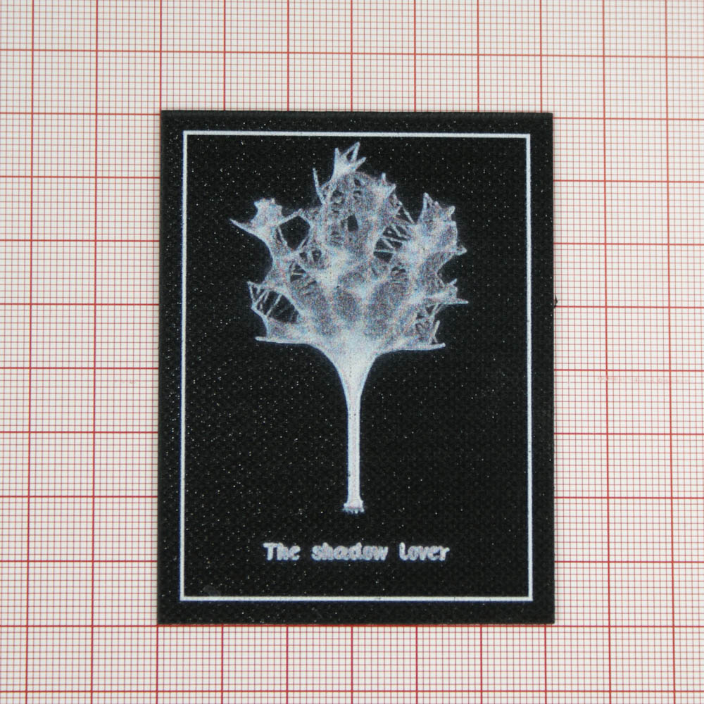 Лейба клеенка блестящая The shadow lover Паутина 5,6*7,8см черно-белый, шт. Лейба Клеенка