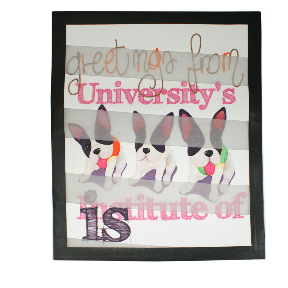 Аппликация пришивная Полоска Бульдоги University's institute of, 25*21см, светлый фон, розовые буквы, шт. Аппликации Пришивные Постер