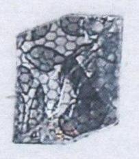 Стразы Т приш. многогр. фигурн. 16*20мм кружево белый №2 /1т.шт./ . Стразы пришивные