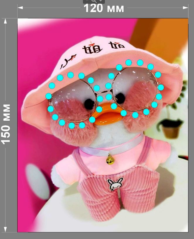 Аппликация композит, Утка в панаме, 15*12см, дайвинг, сублимация, лазер, SS16 32591, шт. Аппликация композит