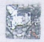 Стразы Т приш. квадрат 10*10мм кружево белый №2 /1т.шт./ . Стразы пришивные