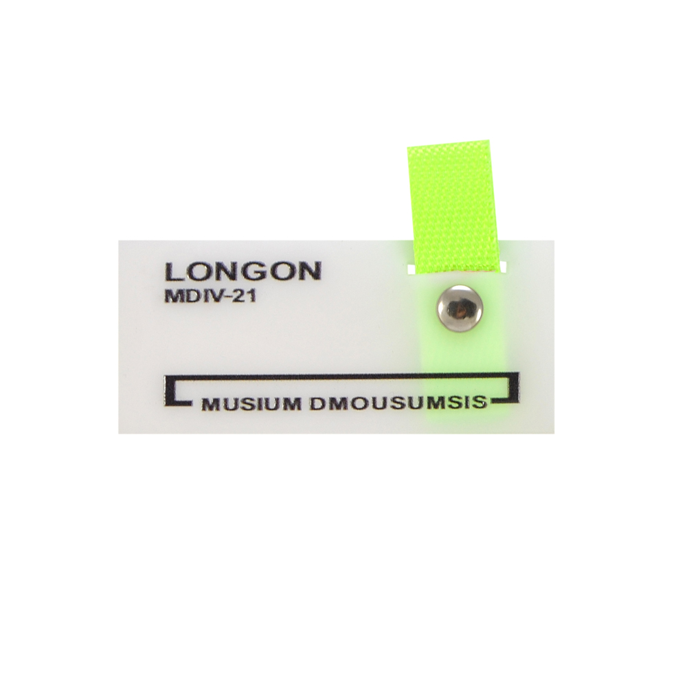 Лейба силиконовая с хольнитеном и подвеской  LONGON, 5*3,5см, белый, черный, салатовый,  шт. Лейба Силикон