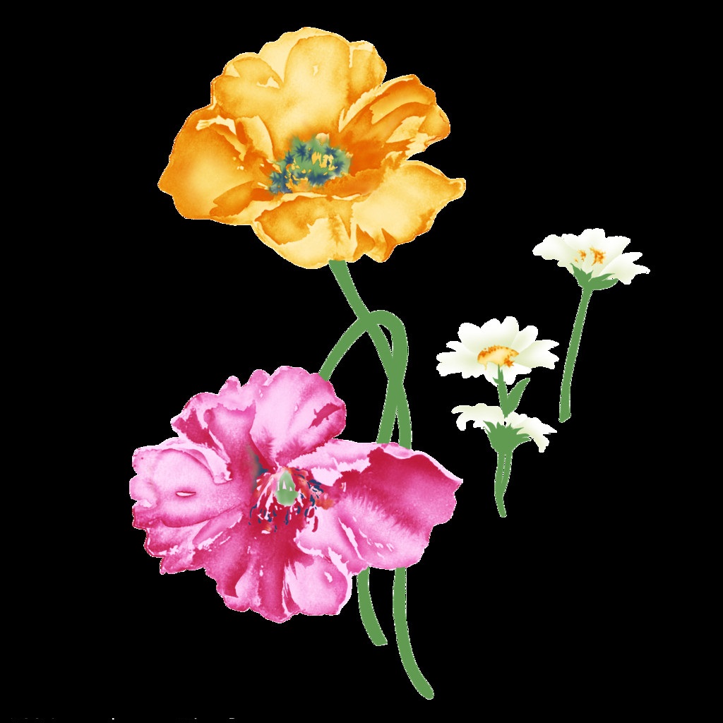 Термоаппликация Маки и ромашки 16,2*21см, шт. Термопереводки Цветы, Птицы