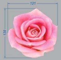 Термоаппликация Роза, 12,1*12см, полноцвет /термопринтер/, шт. Термоаппликация термопринтер