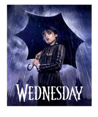 Нашивка, Wednesday, 20*24cм, дайвинг, сублимация, лазер, шт. Нашивка