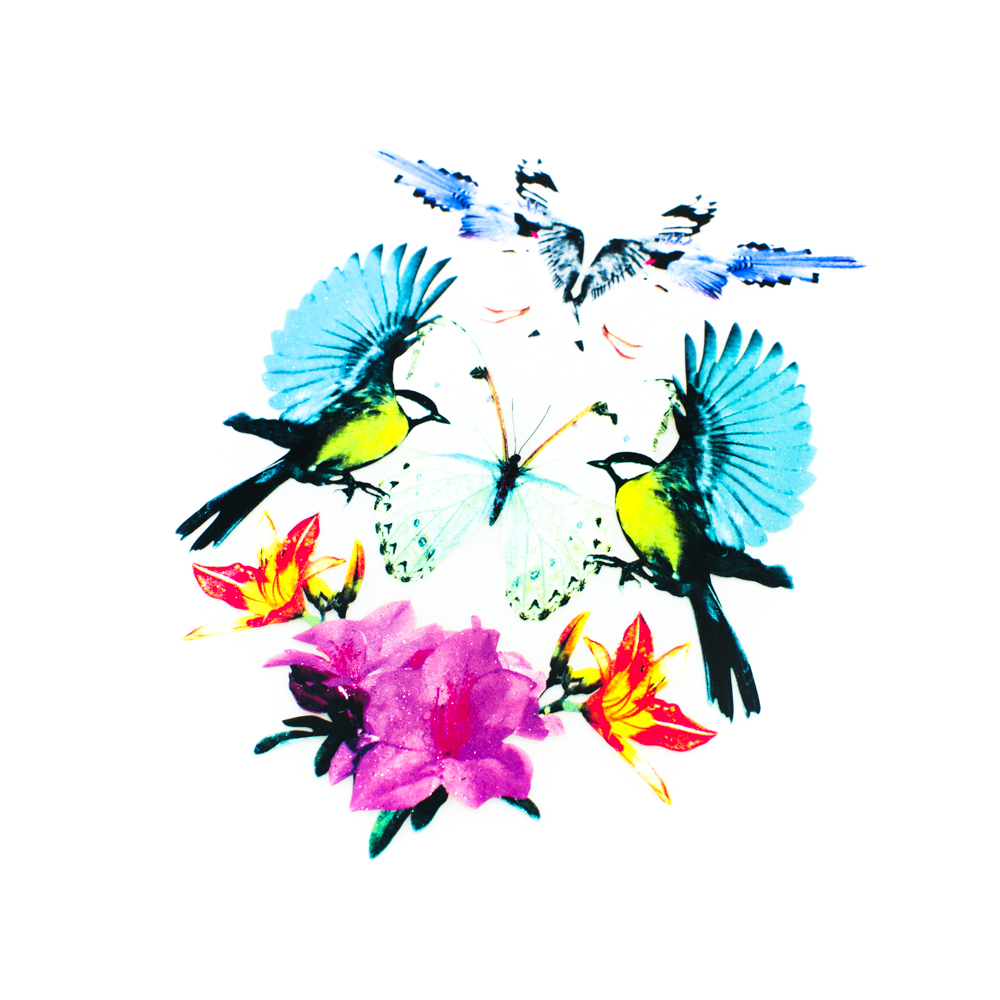 Термоаппликация Птицы и бабочка 21,1*16,2см, шт. Термоаппликации Накатанный рисунок