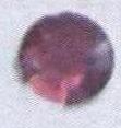 Стразы стеклянные пришивные №8 круглый плоский розовый (8мм), 1тыс.шт. Стразы пришивные