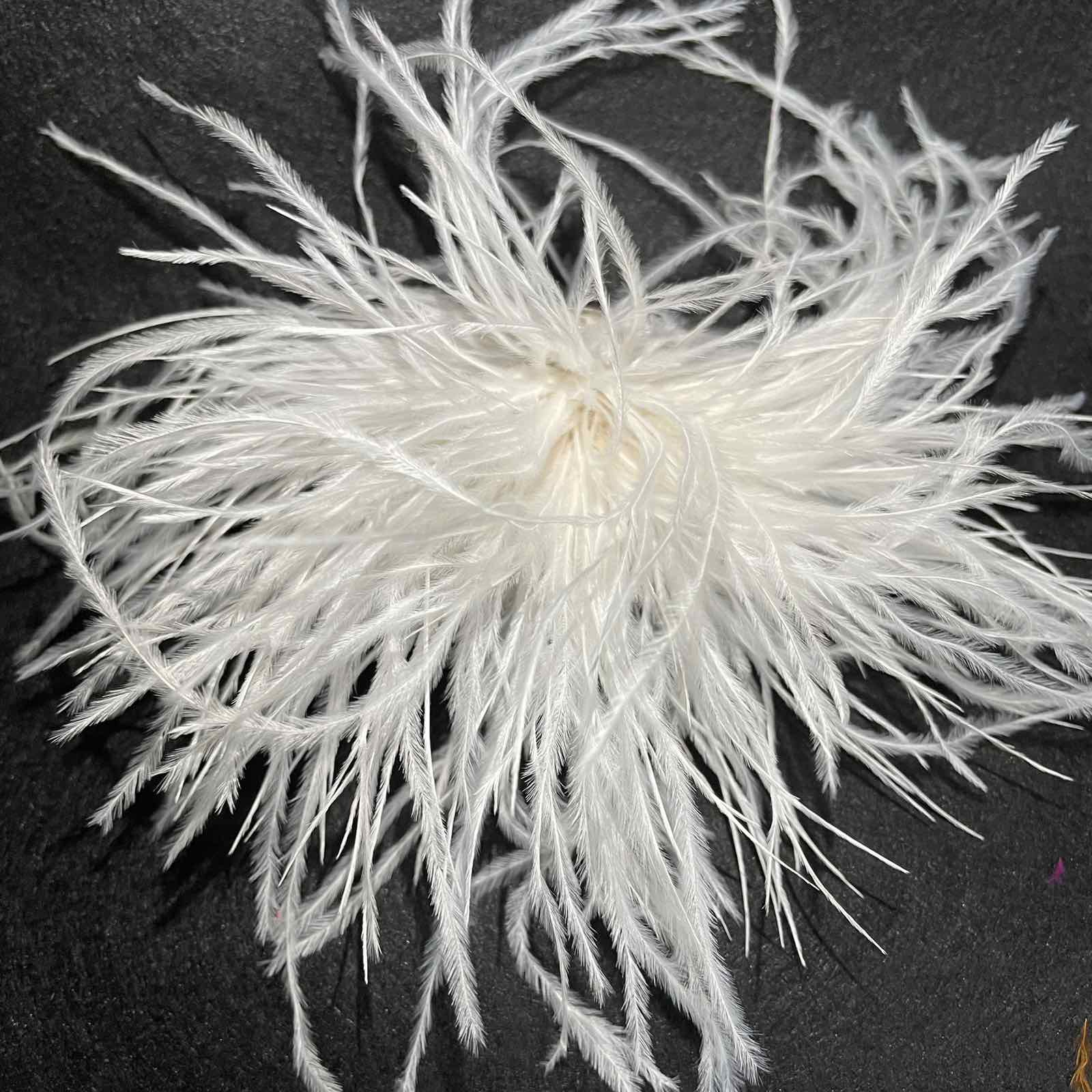 Брошь из перьев, 13-16см, молочный., шт.. Перья