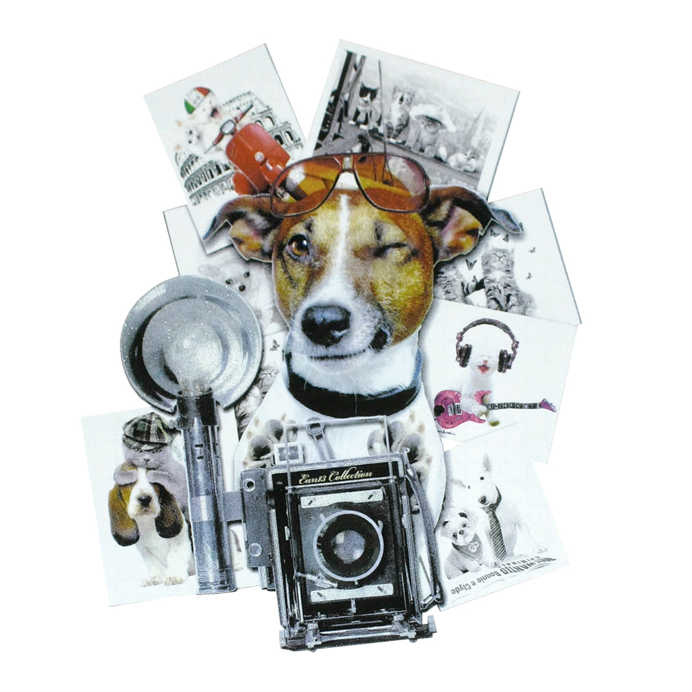 Термоаппликация Фотоаппарат и фото Собаки 24,4*30,6см цветная, шт. Термоаппликации Накатанный рисунок
