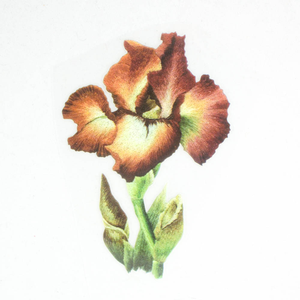 Термоаппликация Цветок Ирис Коричневый 8*11,8см, цветная, шт. Термоаппликации Накатанный рисунок