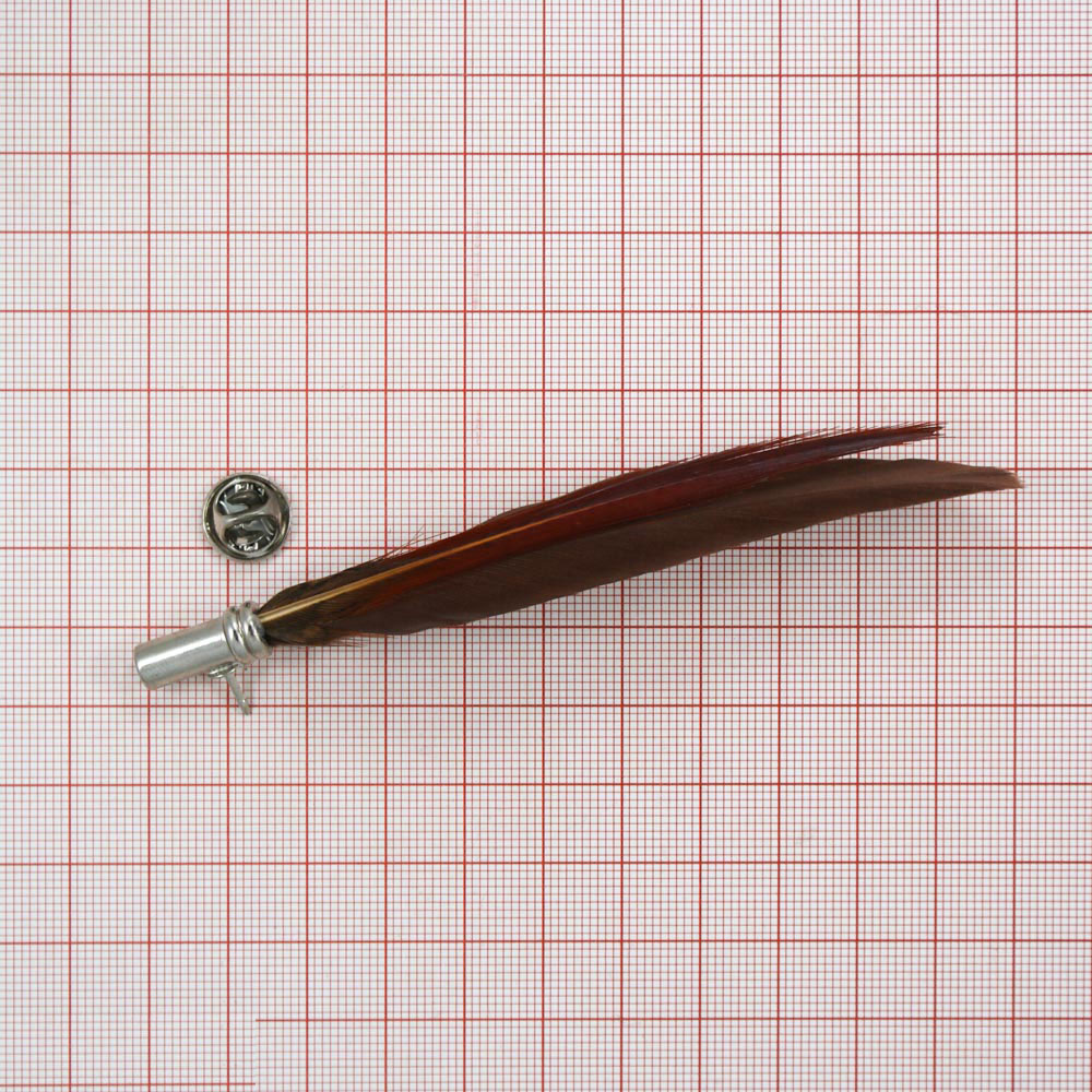 Булавка Перо 13*1,7см коричневый, бордово-коричневый. Булавки