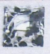 Стразы Т приш. квадрат 12*12мм леопард белый №4 /1т.шт./ . Стразы пришивные