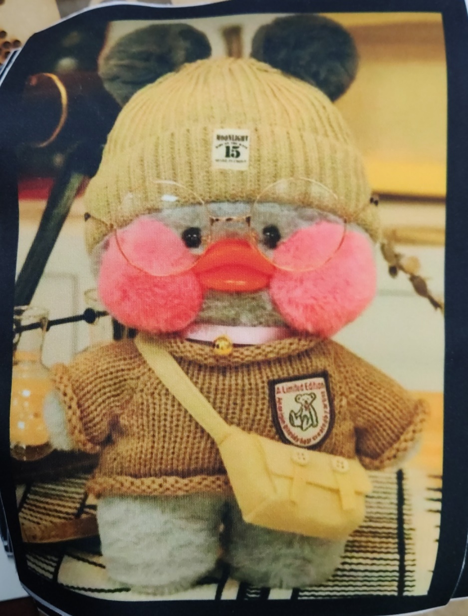 Нашивка, Утка в шапке с помпонами, 23*16,5см, дайвинг, сублимация, лазер, шт. Нашивка
