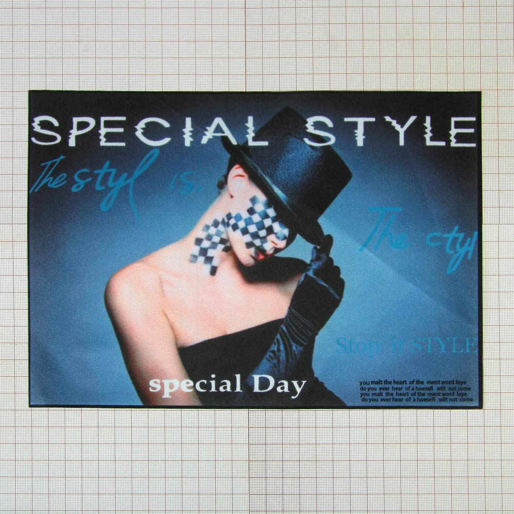 Аппликация пришивная Special Style Шахматка 27*19см цветной рисунок, шт. Аппликации Пришивные Постер