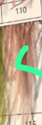 Перья в рулоне 8-10см, бежевый, ярд. Перья