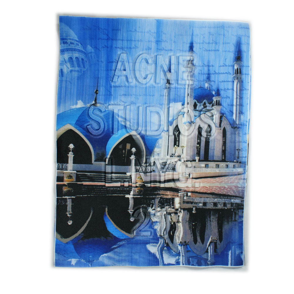Аппликация пришивная конгрев Acne Studios Дворец 18,5*24см голубая, цветной рисунок, шт. Аппликации Пришивные Рельефные