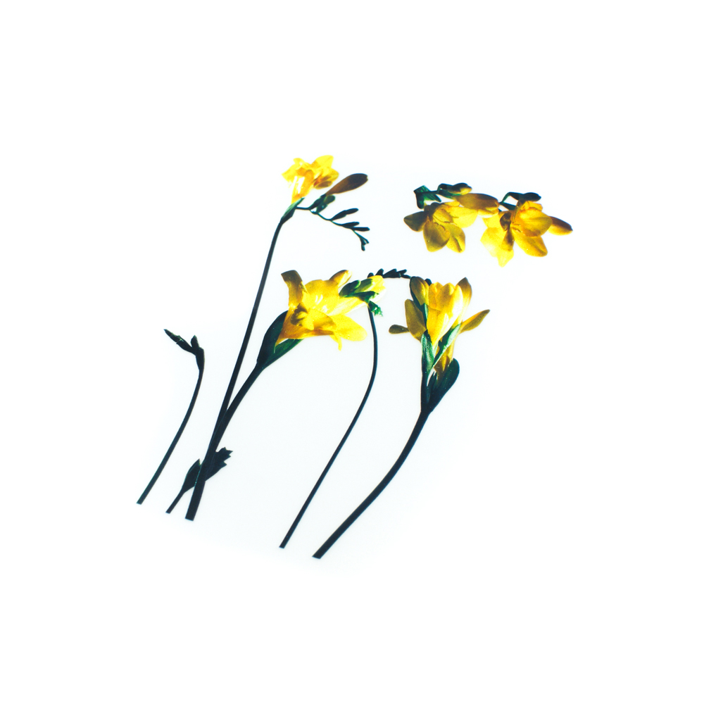 Термоаппликация Желтые цветы 17*21см, шт. Термоаппликации Накатанный рисунок