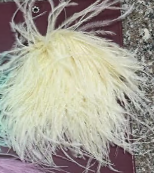 Брошь из перьев, молочный, шт. Перья