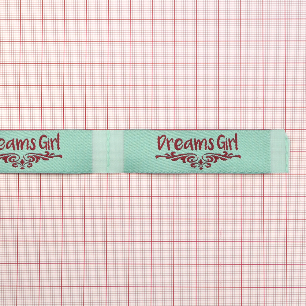 Этикетка тканевая вышитая Dreams Girl 2см, ментоловая, малиновый лого, шт. Вышивка / этикетка тканевая