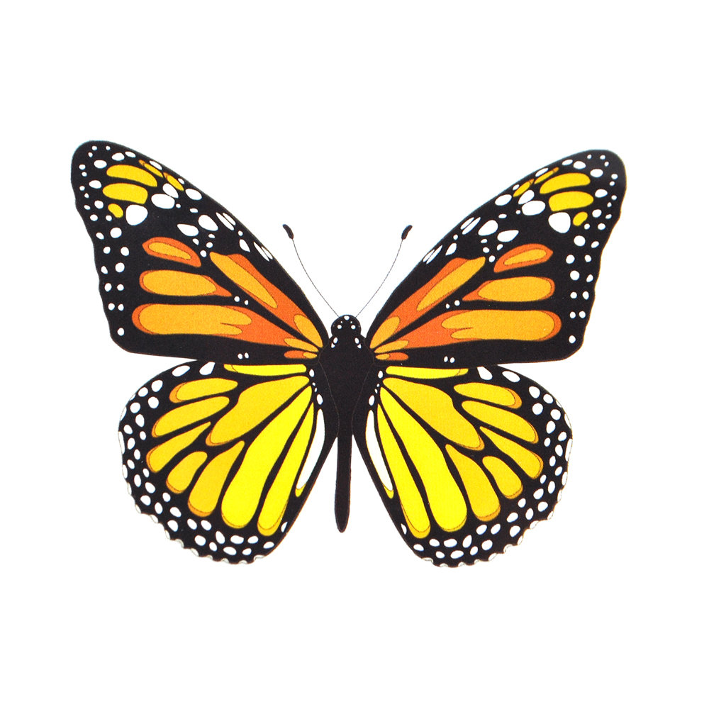 Термоаппликация Бабочка-капустница, 9*6,8см, черный, белый, оранжевый. шт. Термоаппликации Накатанный рисунок