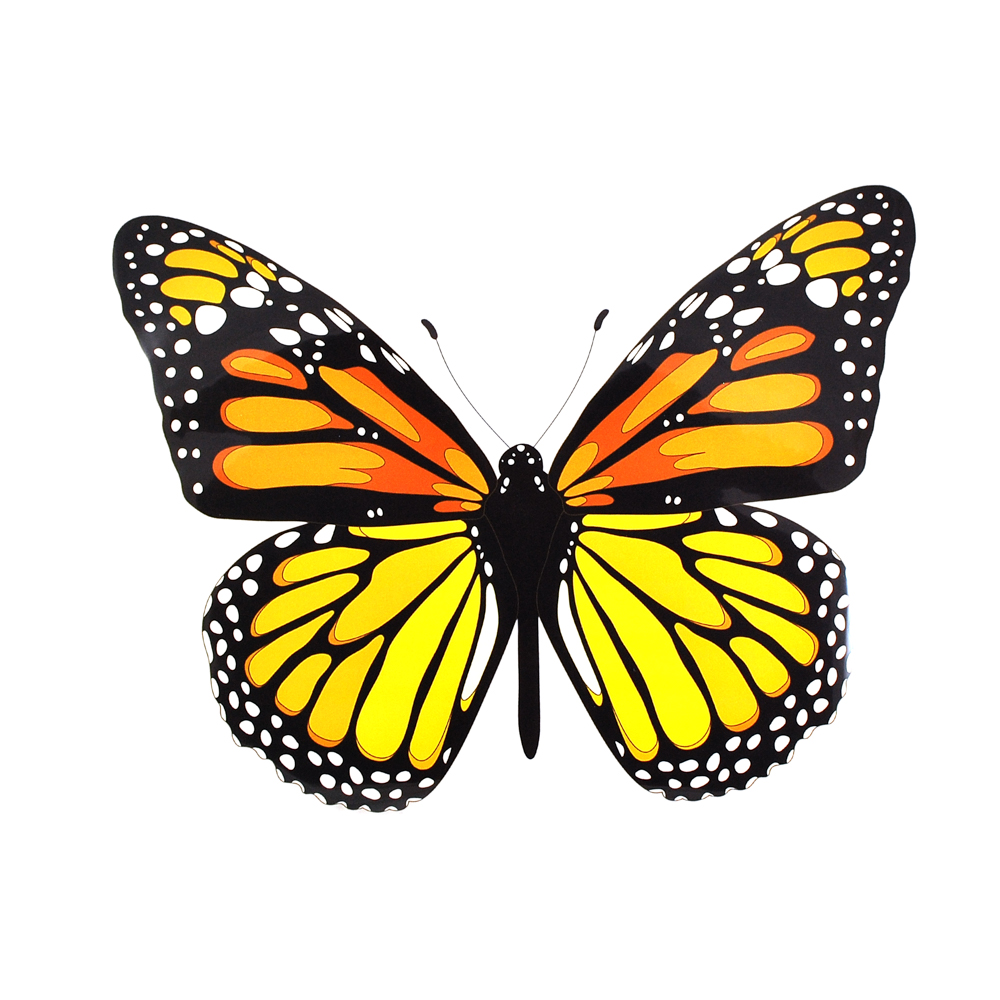 Термоаппликация Бабочка-капустница, 30,5*23,см, черный, оранжевый, белый, шт. Термоаппликации Накатанный рисунок