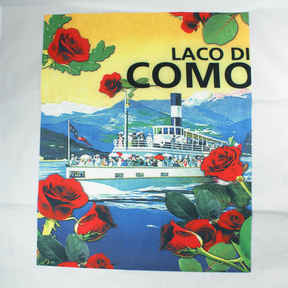 Аппликация пришивная Laco di como 30*24,5 см, пароход, розы, цветная, шт. Аппликации Пришивные Постер