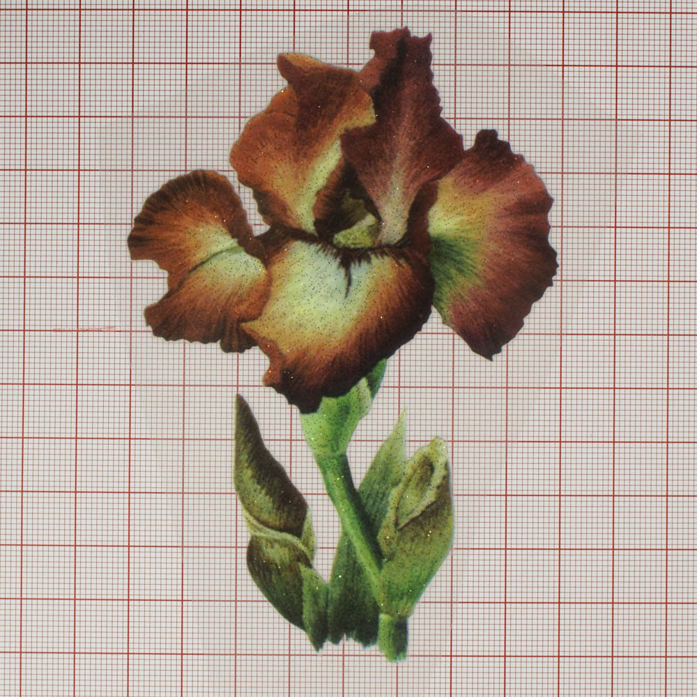 Термоаппликация Цветок Ирис Коричневый 8*11,8см, цветная, шт. Термоаппликации Накатанный рисунок