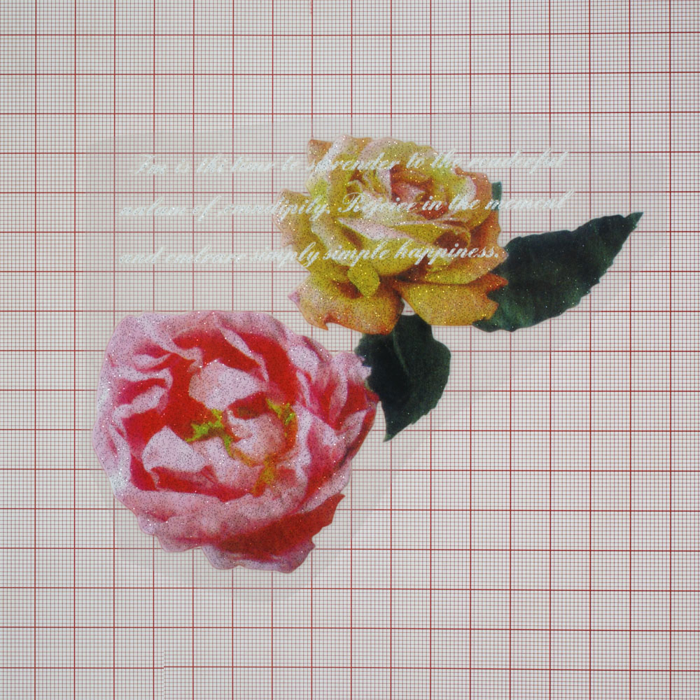 Термоаппликация Розы с текстом 11*14см, шт. Термопереводки Цветы, Птицы