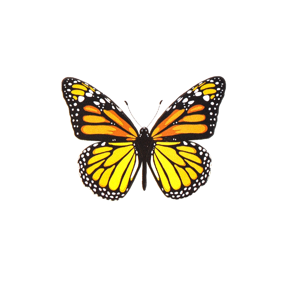 Термоаппликация Бабочка-капустница, 4,5*3,4см, черный, оранжевый, белый, шт. Термоаппликации Накатанный рисунок