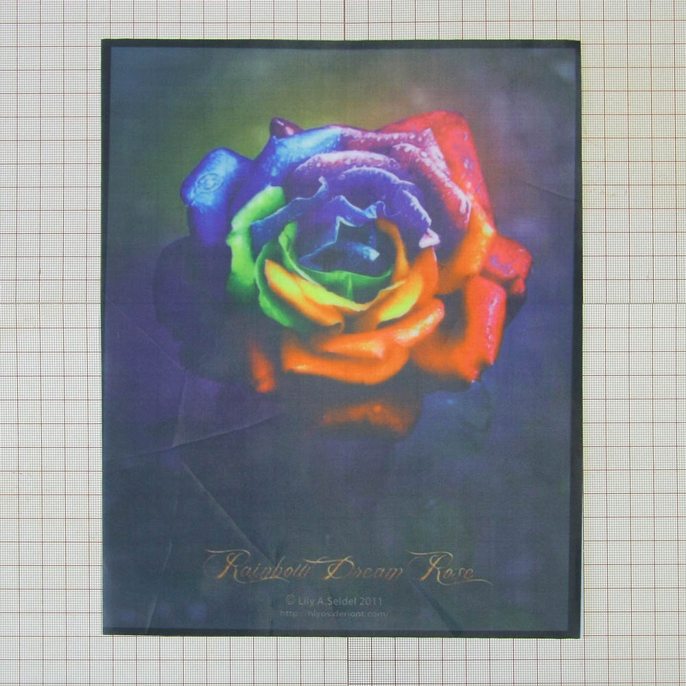 Аппликация пришивная Роза Радуга 20*25см цветной рисунок, шт. Аппликации Пришивные Постер