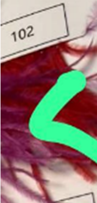 Перья в рулоне 8-10см, красный, ярд. Перья