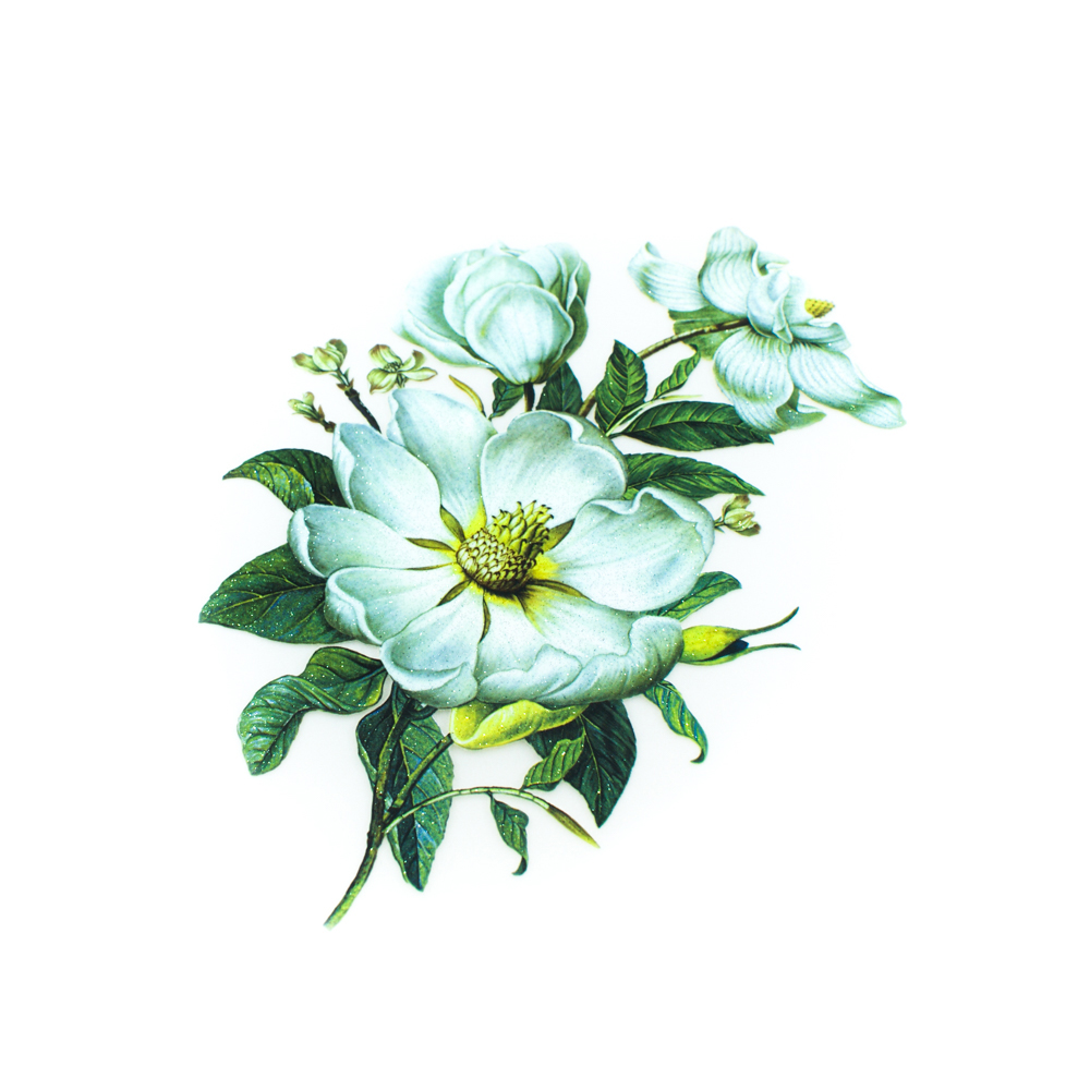 Термоаппликация Белые цветы 15*22см, шт. Термоаппликации Накатанный рисунок