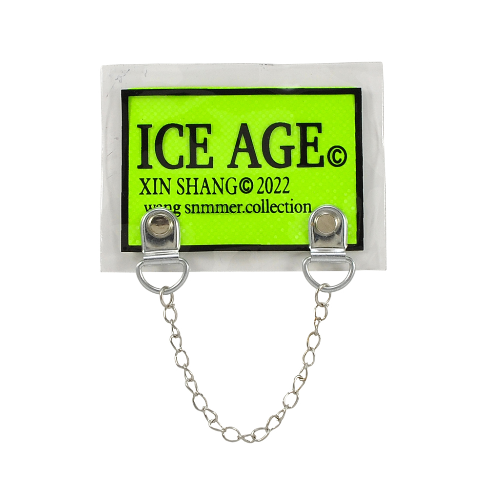 Лейба клеенка c цепочкой, ICE AGE, 6*8см, зеленый, черный, шт. Лейба Клеенка