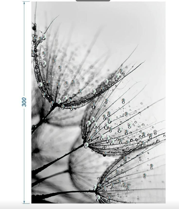 Аппликация композит, Одуванчик, 20*30cм, королевский атлас, сублимация, лазер, SS30 и SS20 белый хамелеон 32601, 32596, шт. Аппликация композит