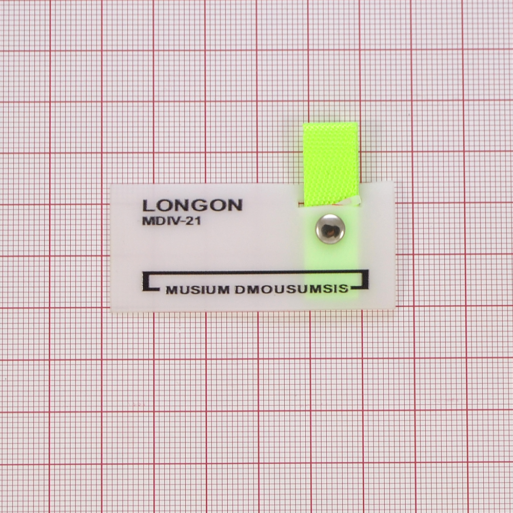 Лейба силиконовая с хольнитеном и подвеской  LONGON, 5*3,5см, белый, черный, салатовый,  шт. Лейба Силикон