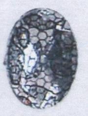 Стразы Т приш. овал 13*18мм кружево белый №2 /1т.шт./ . Стразы пришивные