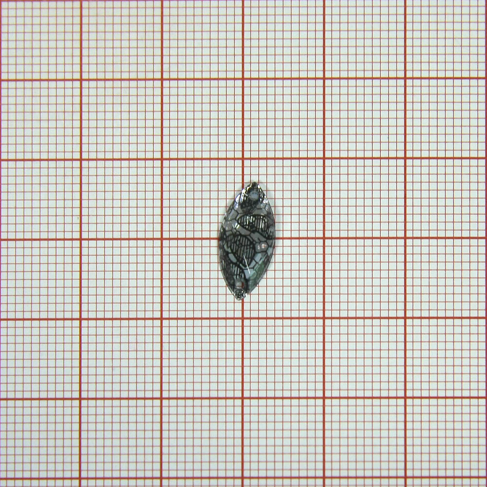 Стразы Т приш. глаз 7*15мм кружево белый №2 /1т.шт./ . Стразы пришивные