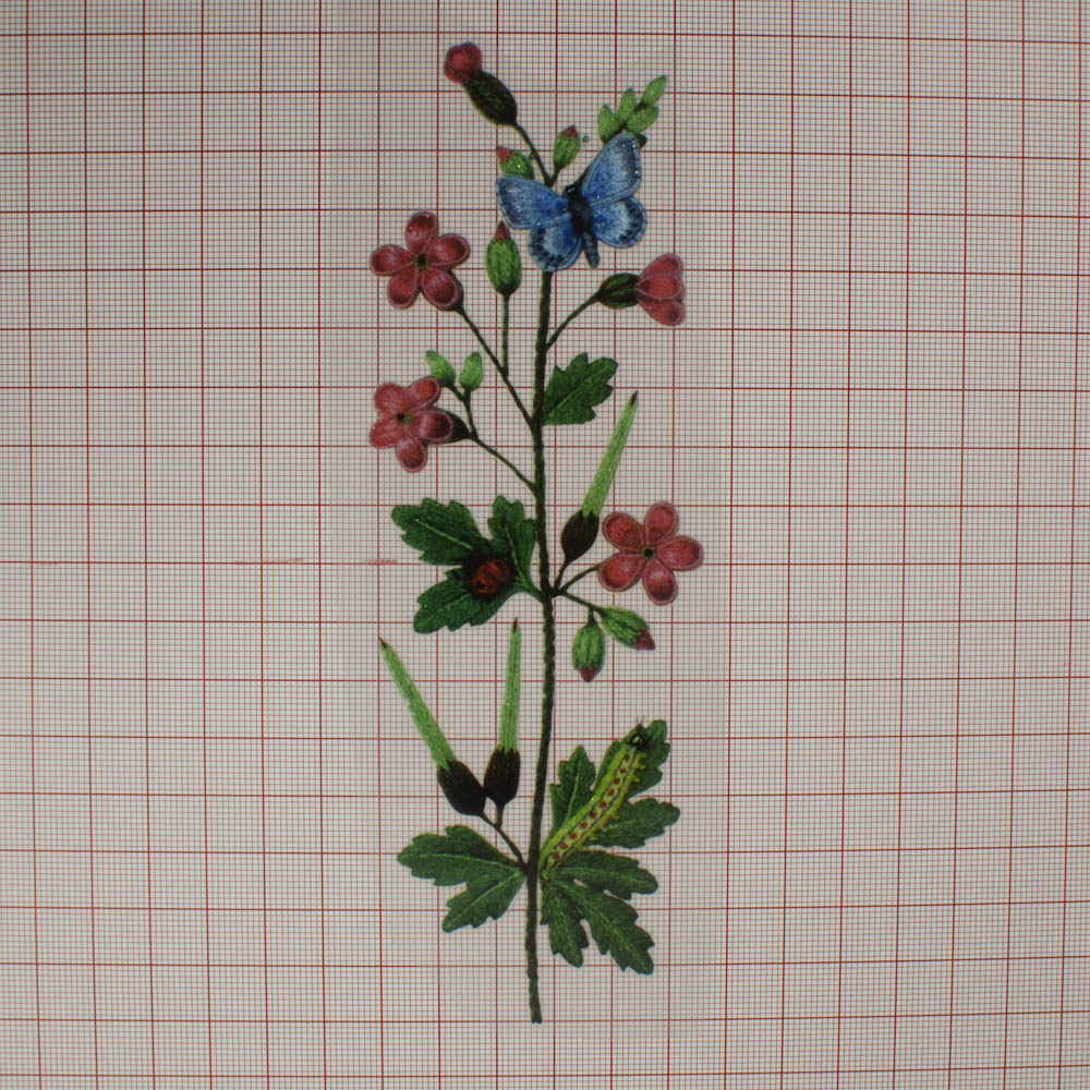 Термоаппликация Цветок Полевой, бабочка и гусеница 5,7*11,8см, цветная, шт. Термопереводки Цветы, Птицы